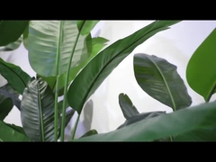 ویدیوی بخش چرخش