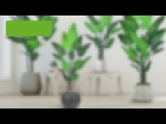 درخت نخل مسافر تقلبی (نخل بهشتی) - 180 سانتی‌متر/200 سانتی‌متر برگ مصنوعی PE واقع‌گرایانه