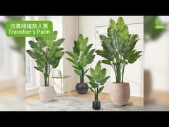 درخت نخل مسافر مصنوعی با لبه‌های برگ واقع‌گرایانه 160 سانتی‌متر 180 سانتی‌متر | گیاه مصنوعی شبیه بهشت پرنده