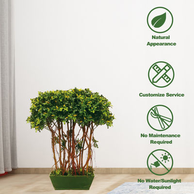 Boxwood Tree With Multi Trunks Artificial Boxwood Tree For Indoor Decoration