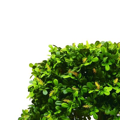 Boxwood Tree With Multi Trunks Artificial Boxwood Tree For Indoor Decoration