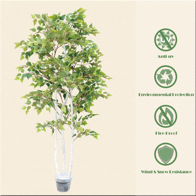 Ornamental Plant Artificial Radermachera sinica Indoor Landscape Natural Greening