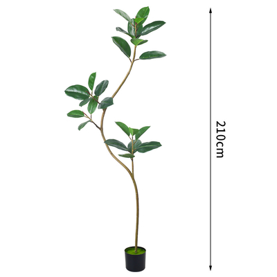 Artificial Potted Floor Plants Small Ficus Pandurata For Garden Decoration