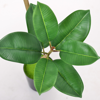 Artificial Potted Floor Plants Small Ficus Pandurata For Garden Decoration
