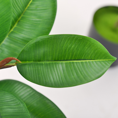 Artificial Potted Floor Plants Small Ficus Pandurata For Garden Decoration