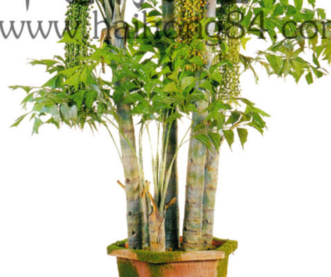 Green Fishtail Palm 350cm Height Artificial Foliage Tree Large Size