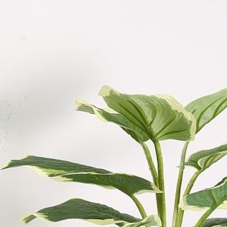 Casual Decor Fake Potted Floor Plants Taro Fabric Plastic Material