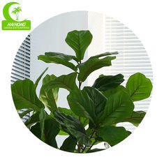 Natural 120cm Height Pandurata Artificial Ficus Tree Landing Plant