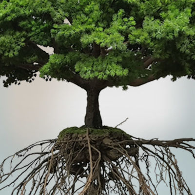 Anti UV Vertical Greening Artificial Simulated Plant Decor Suspended Space Pendant