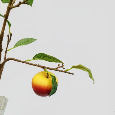 Anti UV Artificial Apple Branch Plastic Plant Outdoor Decorative
