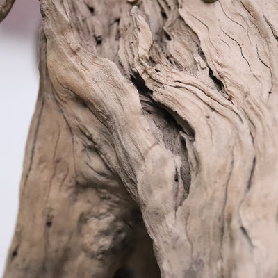 Lifelike Fiberglass Dry Tree Trunk Custom Props Retro Style Planting Decoration