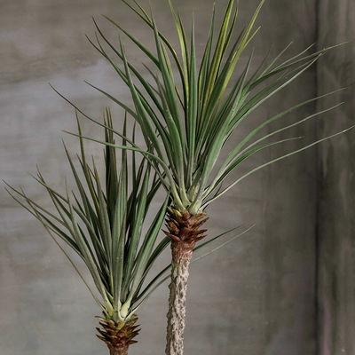 120cm Artificial Plant Faux Bonsai Dracaena Anti UV Plastic Leaves