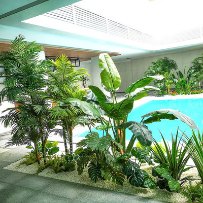 Green Potted Indoor Travelers Palm Corner Landscape Leisure Place Ornaments