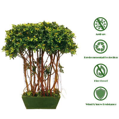 Boxwood Tree With Multi Trunks Artificial Boxwood Tree For Indoor Decoration