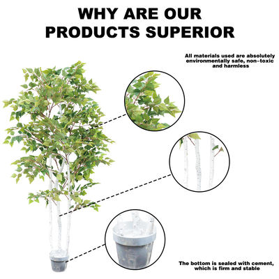 Ornamental Plant Artificial Radermachera sinica Indoor Landscape Natural Greening