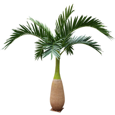Custom Height Artificial Bottle Palm Tree Outdoor Landscpae Rainforest Theme Park Faux Plant