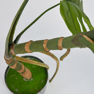 100cm Artificial Landscape Trees Green Monstera Floor Hyperallergic Plants For Office Decor