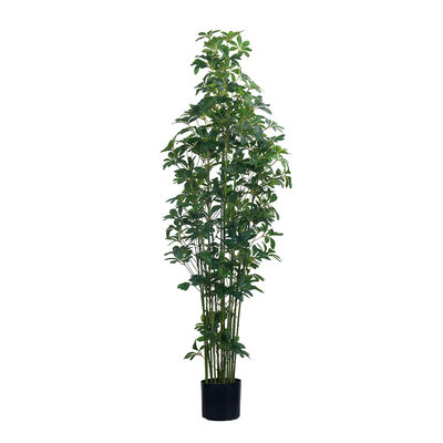 47in 59in 70in بلند لمس واقعی مصنوعی Schefflera درخت سبز گلدان Schefflera گیاه برای تزئینات خانه