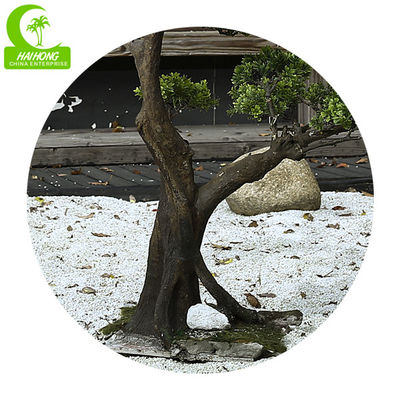 Indoor Decoration Anti Fading Artificial Black Pine Bonsai Real Touch