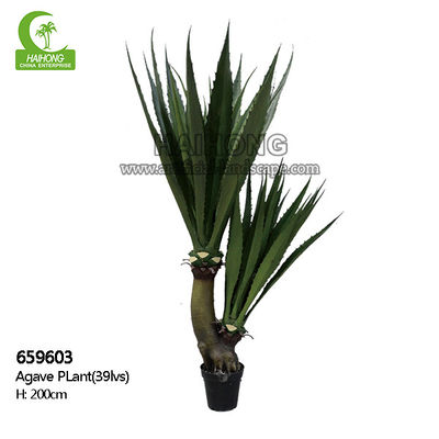 Fire Resistant 200cm Artificial Agave Plant Large Easy To Care