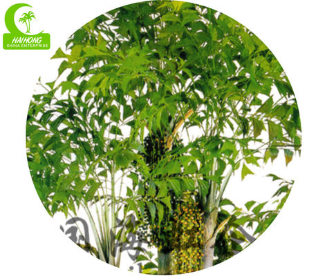 Green Fishtail Palm 350cm Height Artificial Foliage Tree Large Size