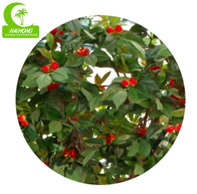 Flame Retardant 280cm Artificial Camellia Tree , Indoor Silk Trees Durable