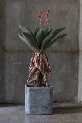 5inch Grey Square Plant Pots , Grey Square Plant Pots Indoor Outdoor