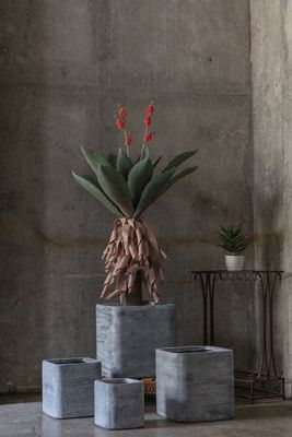 5inch Grey Square Plant Pots , Grey Square Plant Pots Indoor Outdoor