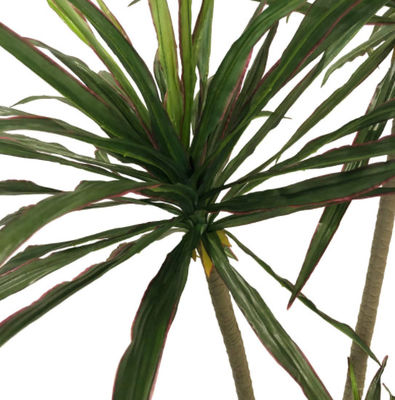 Dracaena Marginata Artificial Landscape Trees For Home Office Decoration