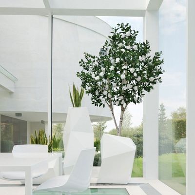 200cm Artificial Green Camellia White Flowers For Hotel Exhibition Decor