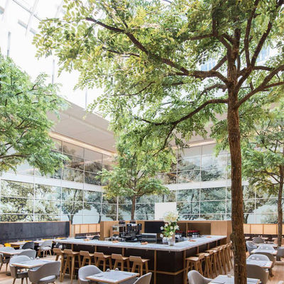 2M Height Artificial Landscape Trees Ficus Plant Store Ornaments