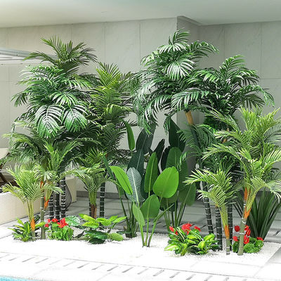 Green Potted Indoor Travelers Palm Corner Landscape Leisure Place Ornaments